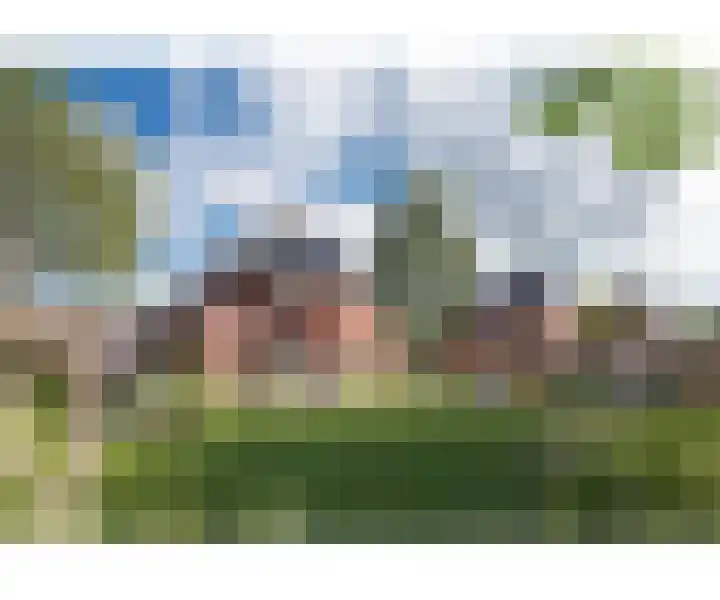 Wildeland 13 Strijen thumbnail 12