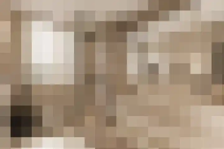 Wildeland 13 Strijen thumbnail 4