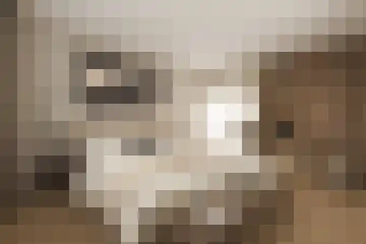 Wildeland 13 Strijen thumbnail 6