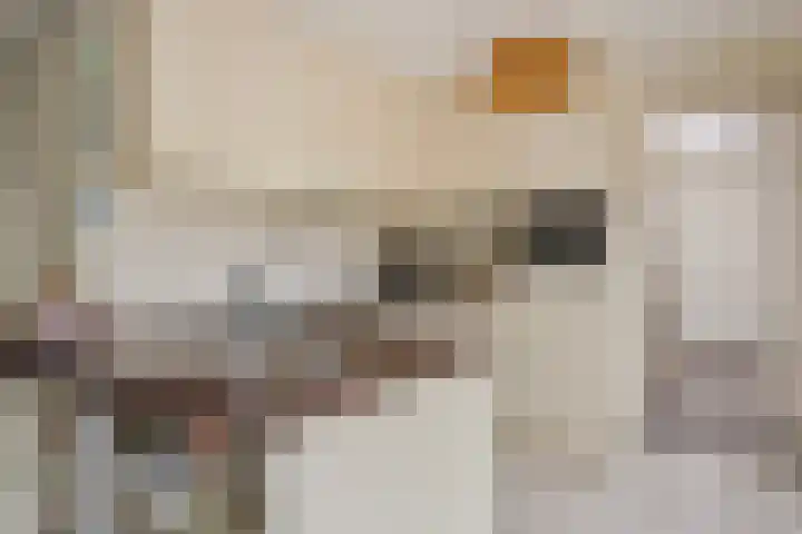 Wildeman 41 Eindhoven thumbnail 16
