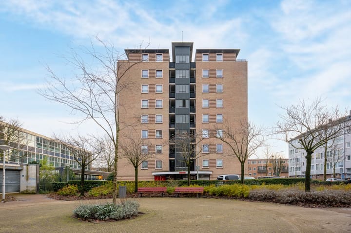 Wildeman 97 in Amsterdam foto