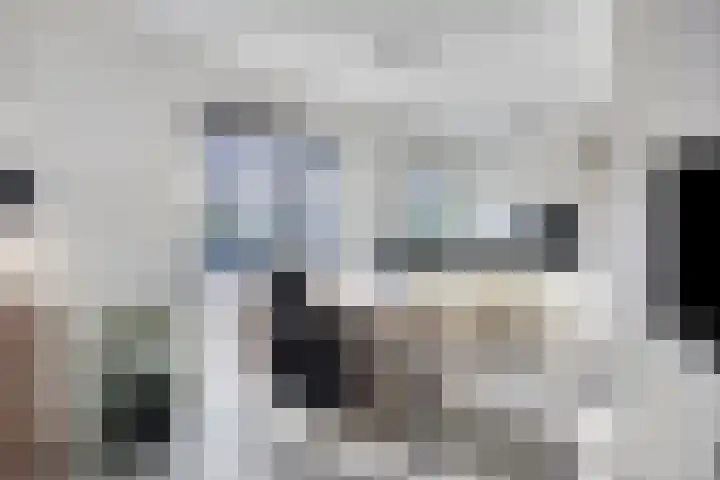 Wildemanstraat 7 Elst Ut thumbnail 10