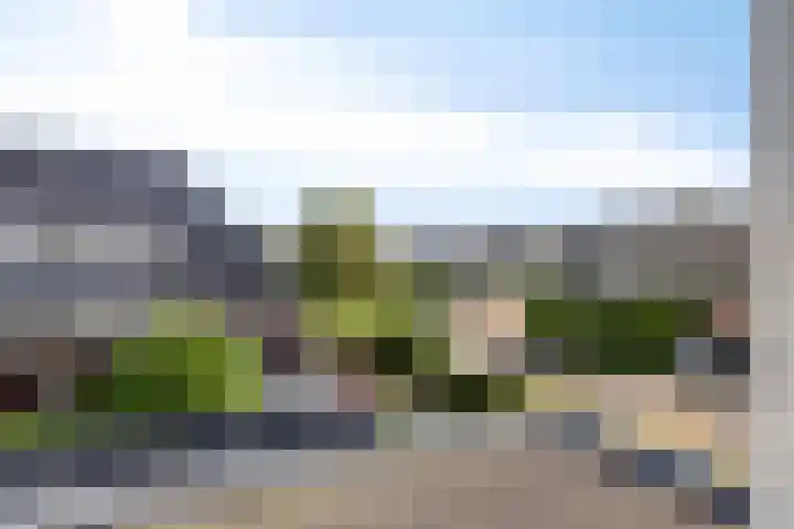 Wildemanstraat 7 Elst Ut thumbnail 27