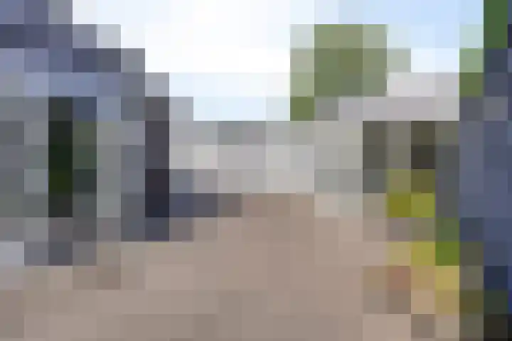 Wildemanstraat 7 Elst Ut thumbnail 31