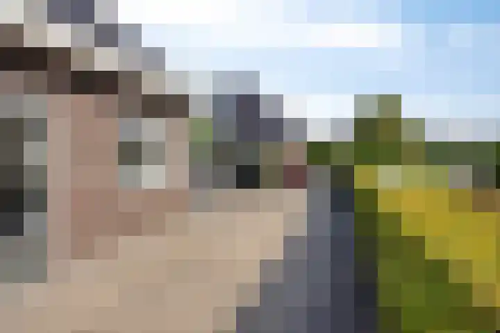 Wildemanstraat 7 Elst Ut thumbnail 34