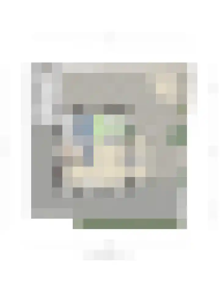 Wildemanstraat 7 Elst Ut thumbnail 42