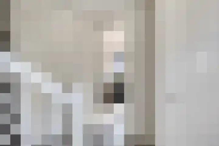 Wildemanstraat 7 Elst Ut thumbnail 7