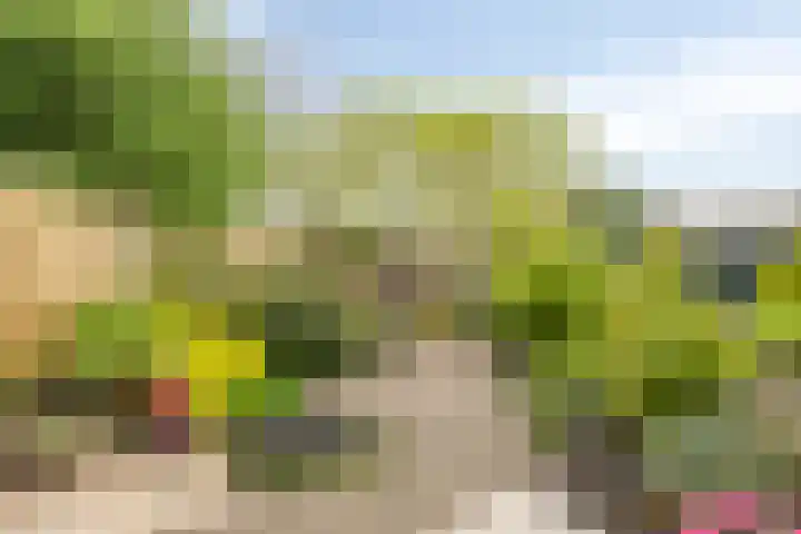 Wildenberg 24 Zoetermeer thumbnail 13