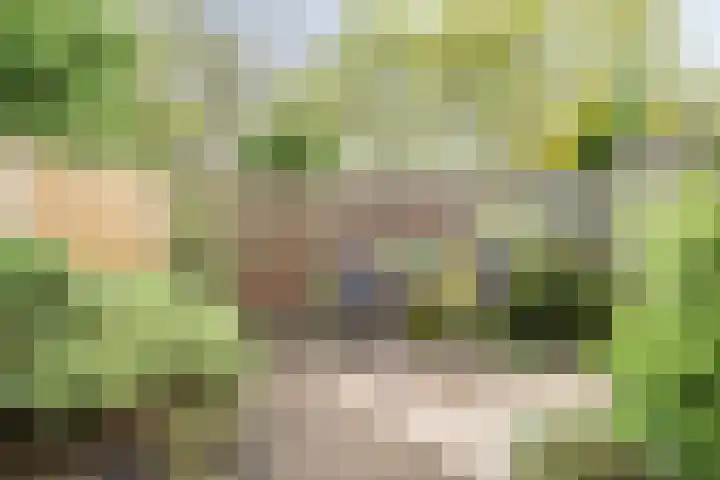Wildenberg 24 Zoetermeer thumbnail 14