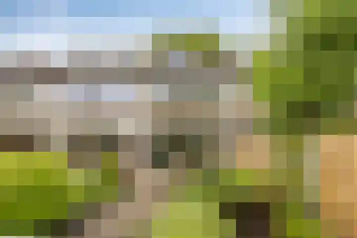 Wildenberg 24 Zoetermeer thumbnail 15