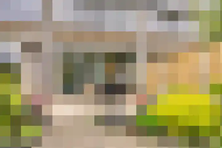 Wildenberg 24 Zoetermeer thumbnail 16