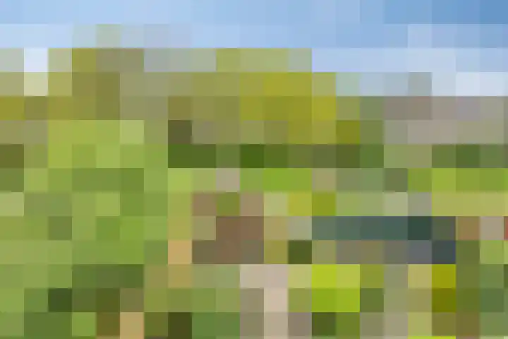 Wildenberg 24 Zoetermeer thumbnail 22