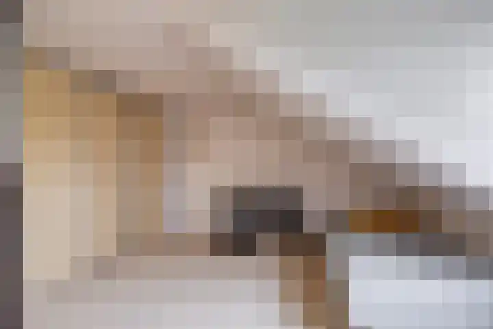 Wildenberg 24 Zoetermeer thumbnail 27