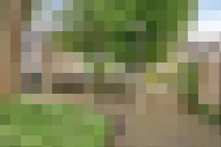 Wildenberg 24 Zoetermeer thumbnail 33