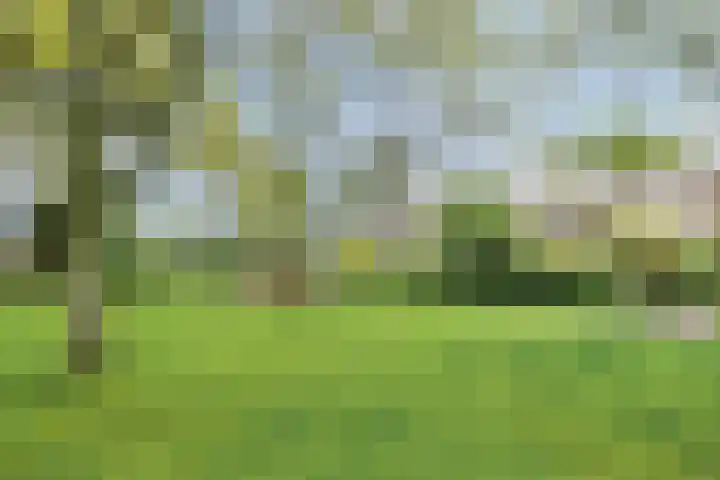 Wildenberg 24 Zoetermeer thumbnail 34