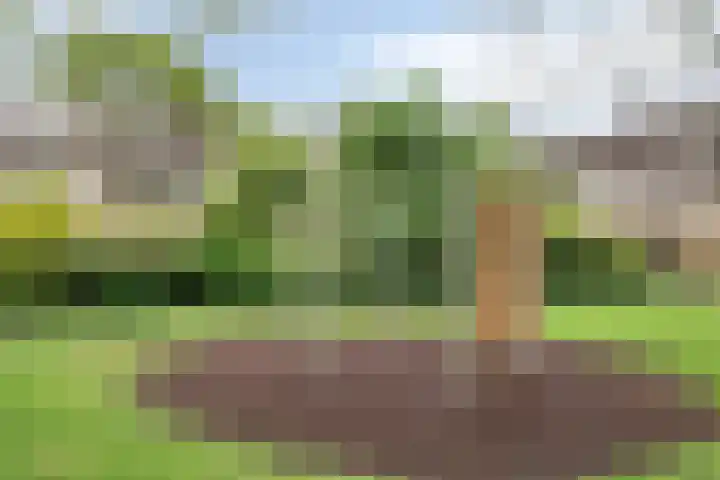 Wildenberg 24 Zoetermeer thumbnail 35