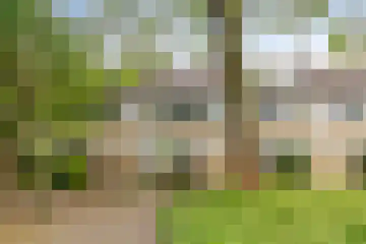 Wildenberg 24 Zoetermeer thumbnail 39