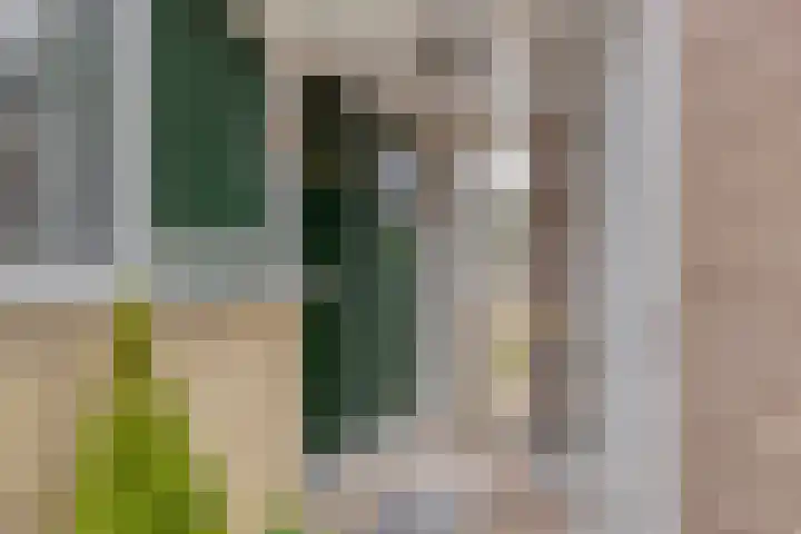 Wildenberg 24 Zoetermeer thumbnail 4