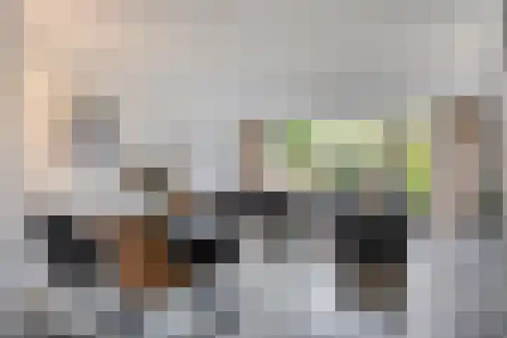 Wildenberg 24 Zoetermeer thumbnail 7
