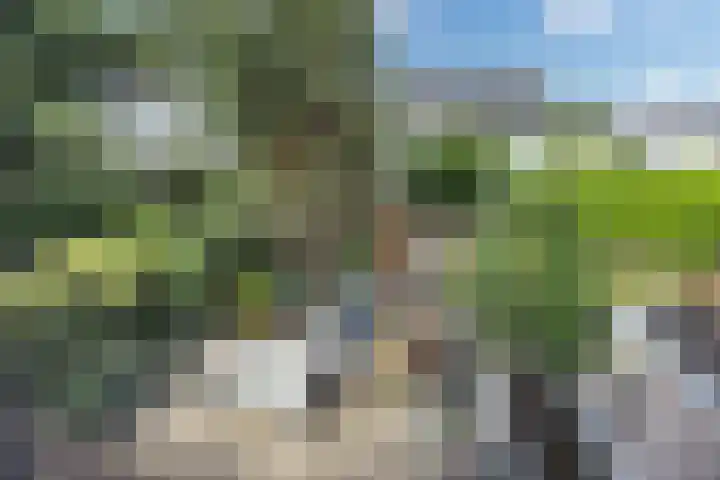 Wildenborch 77 Leidschendam thumbnail 22