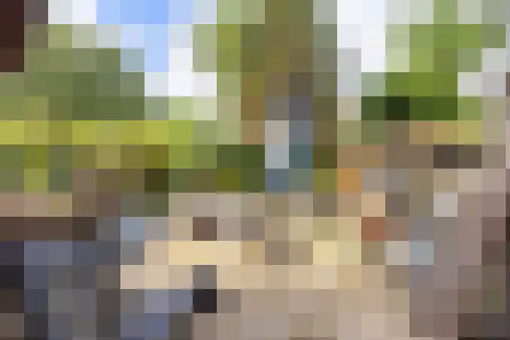 Wildenborch 77 Leidschendam thumbnail 29