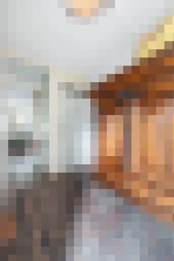 Wildenborch 77 Leidschendam thumbnail 4