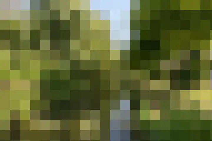Wildenborglaan 2 1 Arnhem thumbnail 4