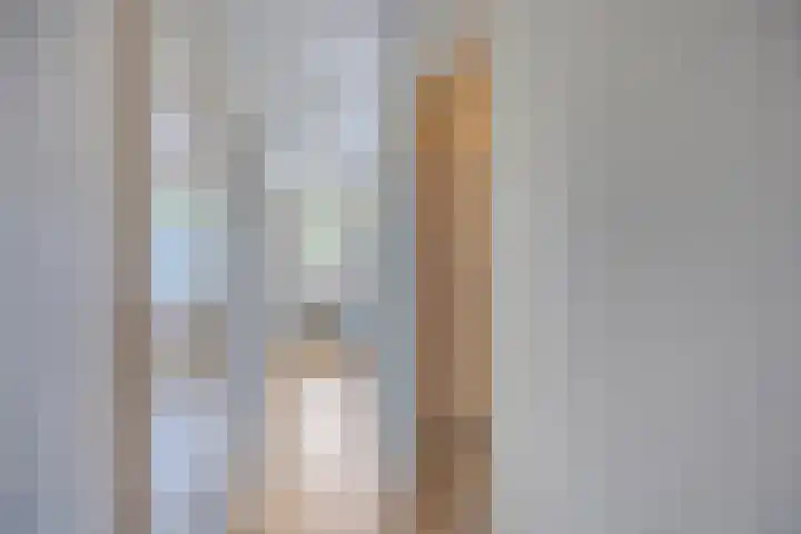 Wildenborglaan 2 Arnhem thumbnail 13