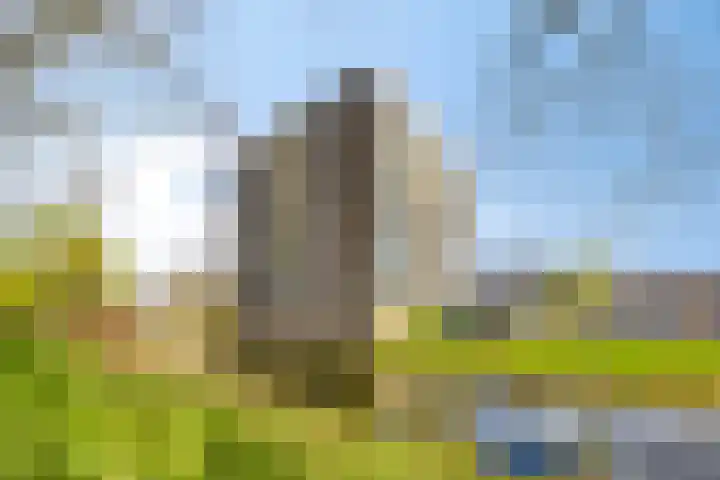 Wildenborglaan 2 Arnhem thumbnail 22