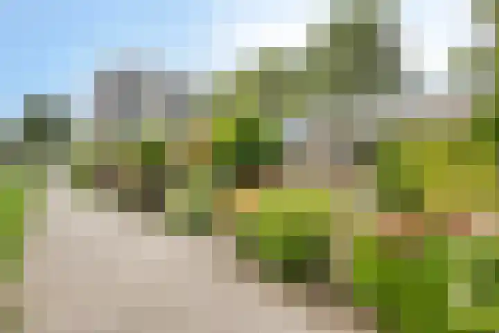 Wildenborglaan 20 Arnhem thumbnail 16