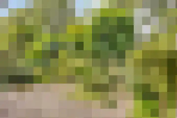 Wildenborglaan 20 Arnhem thumbnail 5