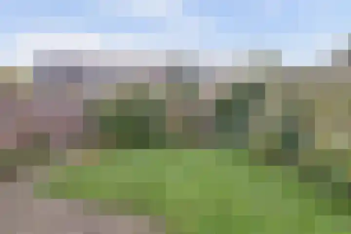 Wildenborglaan 27 Arnhem thumbnail 26