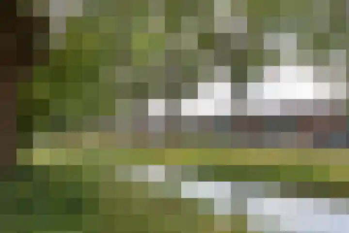 Wildenborglaan 30 Arnhem thumbnail 23