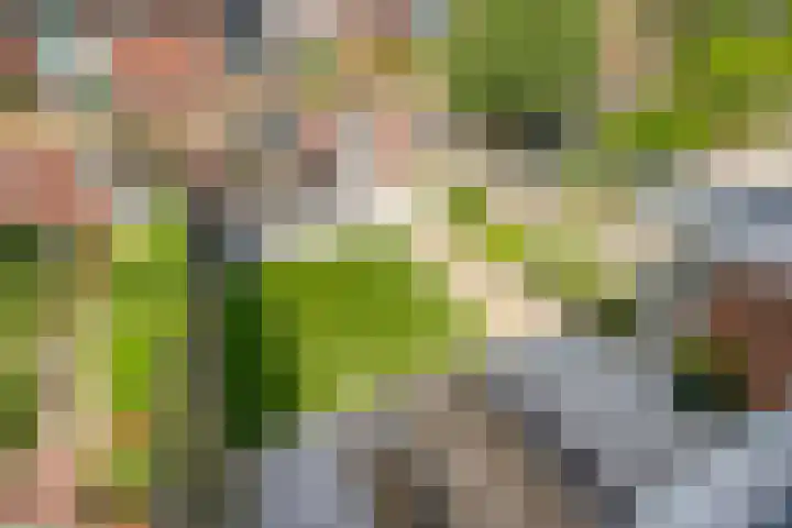 Wilderen 133 Breda thumbnail 23