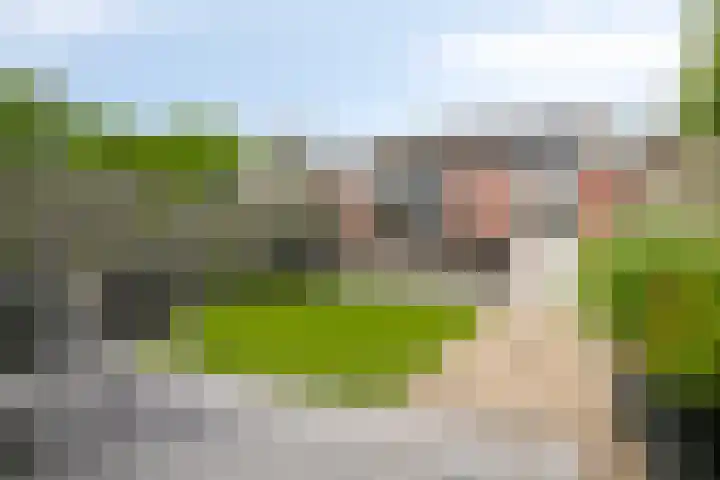 Wilderen 133 Breda thumbnail 24