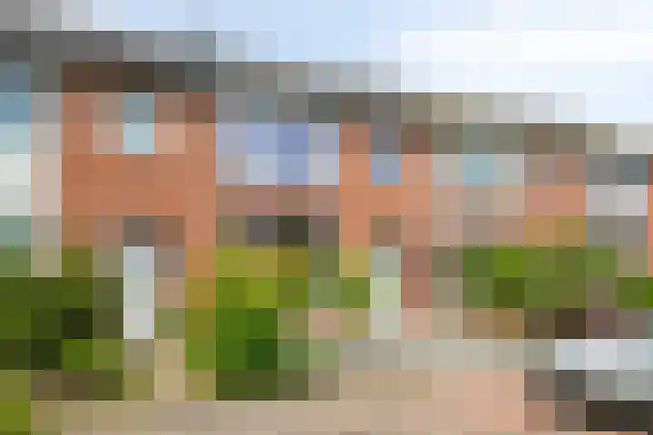 Wilderen 133 Breda thumbnail 29