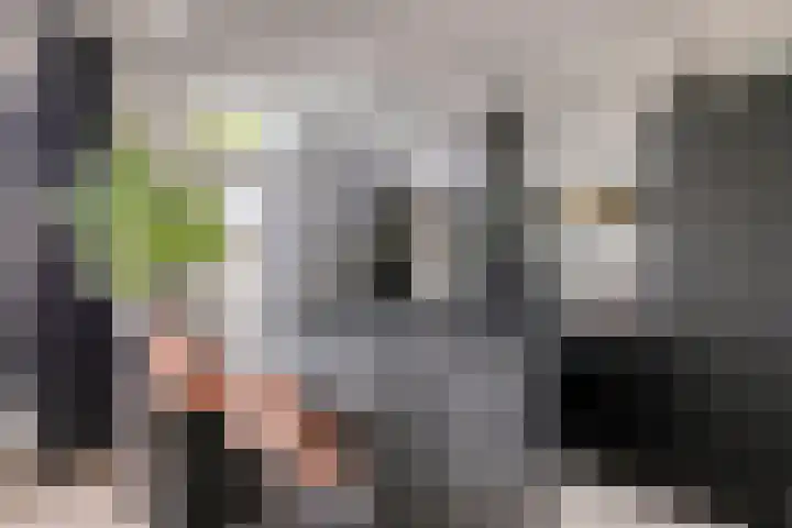 Wilderen 133 Breda thumbnail 4