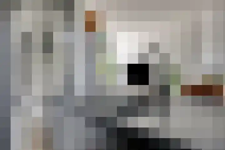 Wilderen 133 Breda thumbnail 5
