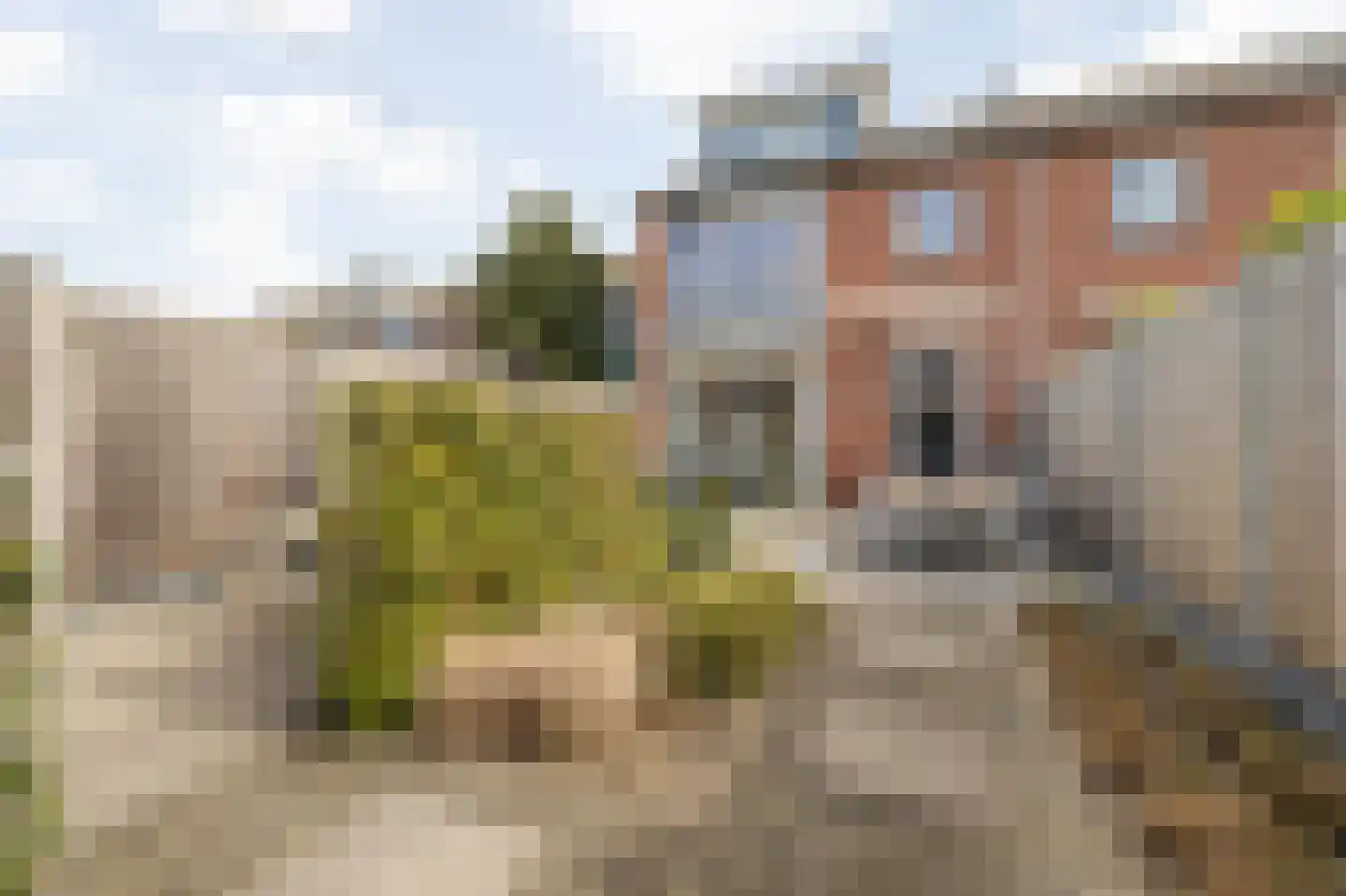 Wilderen 214 Breda thumbnail 33