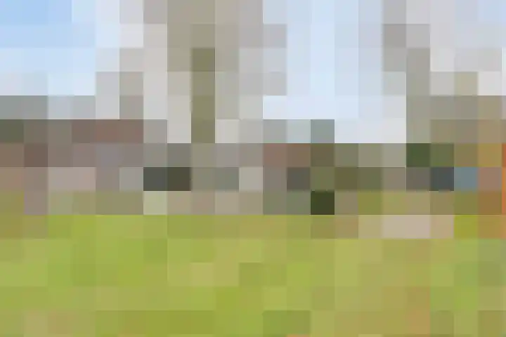 Wildertstraat 33 44 Chaam thumbnail 31