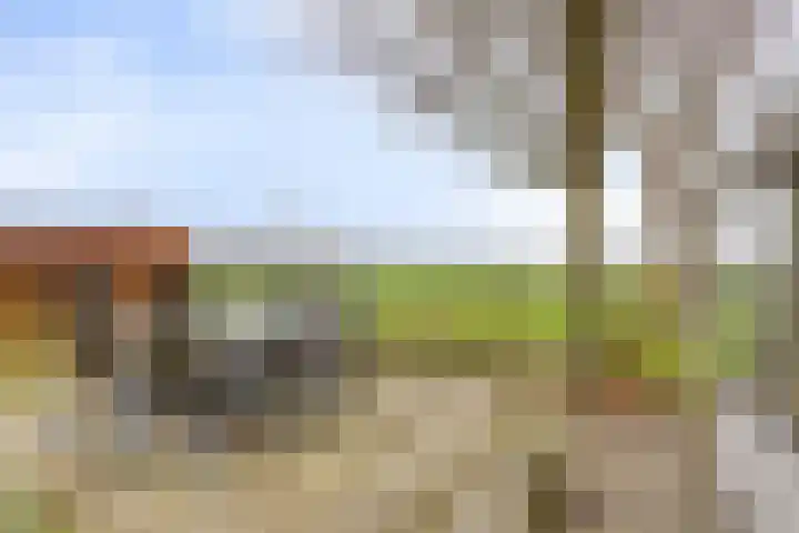 Wildertstraat 33 44 Chaam thumbnail 32