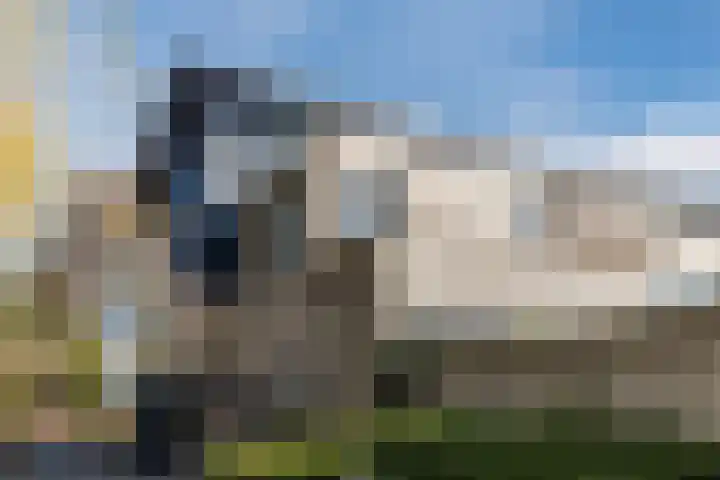 Wilderveld 4 Vleuten