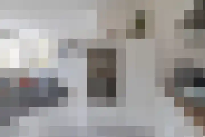 Wilderveld 4 Vleuten thumbnail 27