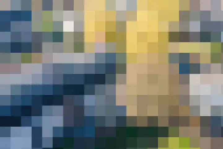 Wilderveld 4 Vleuten thumbnail 4