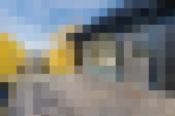 Wilderveld 4 Vleuten thumbnail 40