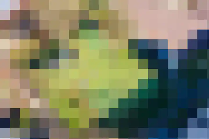 Wilderveld 4 Vleuten thumbnail 53