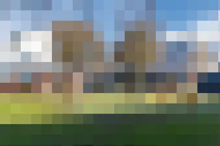 Wilderveld 4 Vleuten thumbnail 57