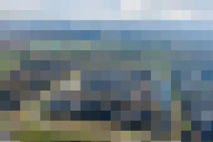 Wilderveld 4 Vleuten thumbnail 59