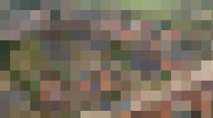 Wildgraaf 6 Elst Ut thumbnail 4
