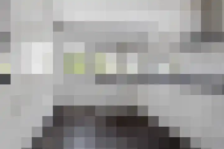 Wildhage 16 Teteringen thumbnail 20